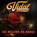 Un Million De Rosas