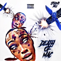 Death of the Mac - Single - Stormii Blu