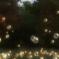 Bubbles - Single - Lost Files