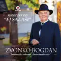 Noć je tija, mesečina sija