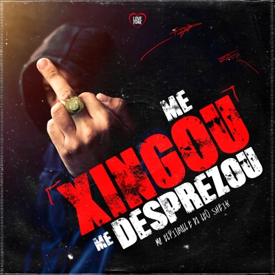 Me Xingou Me Desprezou - Single