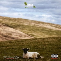 The Sacrificial Lamb (Skeme Vault) - Chuck Paradi$e