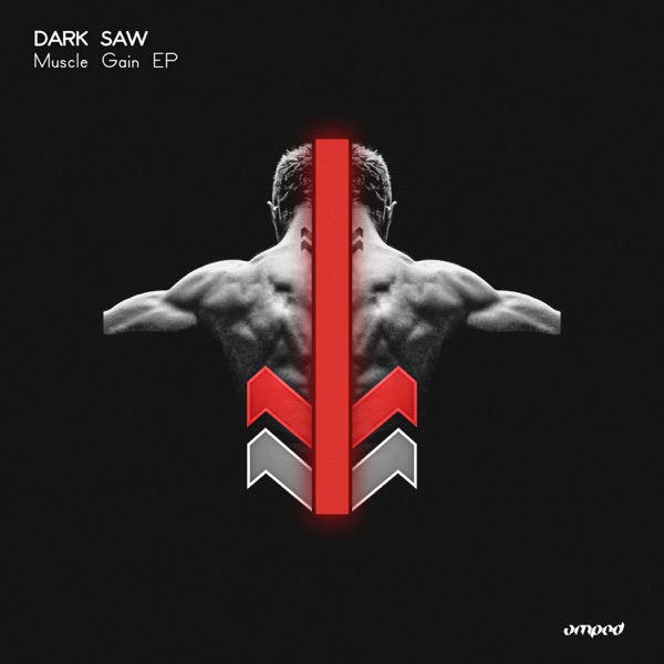 Muscle Gain - Single