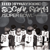 Social Path (feat. LiSA) - Stray Kids