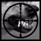 Bullet to the Wolf - Kobe Butterfield lyrics