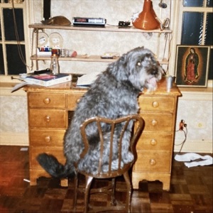 Don't Move - Single