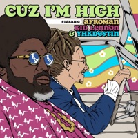 Cuz I'm High (feat. Afroman & YHK Destin) - Single - Kid Lennon
