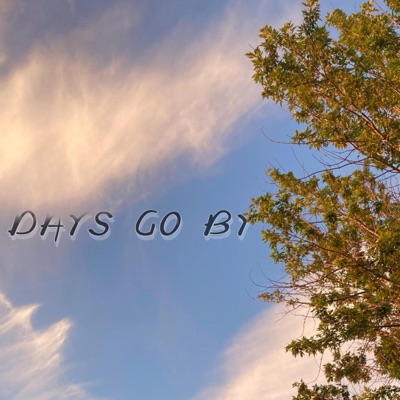 Days Go By (feat. Marlee) - Single