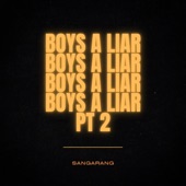 Boy's a liar Pt. 2 artwork