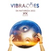 Vibrações da Natureza 2022: Handpan com Sons de Chuva, Floresta, Pássaros Cantando, Ondas do Mar, Tempestade