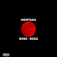 ROSE / ROSÁ - Single - Montana