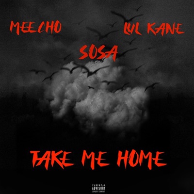 Take Me Home (feat. Draco Sosa & Lul Kane) - Single