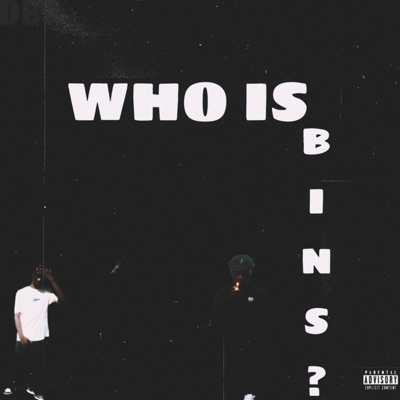 Who is Bins?