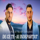 De Ce Te-Ai Indepartat artwork