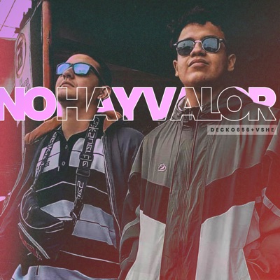 No Hay Valor (feat. Vshe) - Single