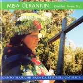 Mapuche Llellipun artwork