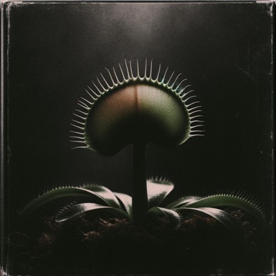 VENUS FLY TRAP (feat. Lian O.) - Single