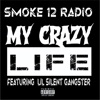 My Crazy Life (feat. Lil Silent Gangster) - Single