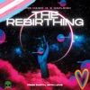 The Rebirthing - Single