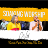 Soaking Worship (Pt. 2) - Yinka Okeleye, Sunmisola Agbebi & Seun Dede