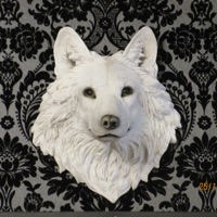 Arise ta' th' Sea! (feat. Kipper Elridge, Damian Barber & David Baresch) - Single - The Snow Night Sky