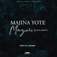 Majina yote mazuri (Comedy Version) - Single - Steve Mweusi