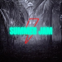 Summer Jam (feat. Adeous) - Single - Ronnie Ferrari