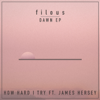 How Hard I Try (feat. James Hersey) - filous