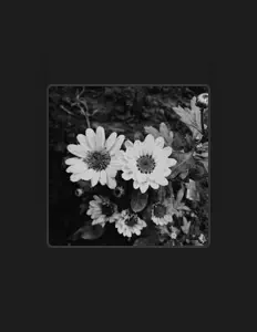 Listen to #SSdaRealest, watch music videos, read bio, see tour dates & more!