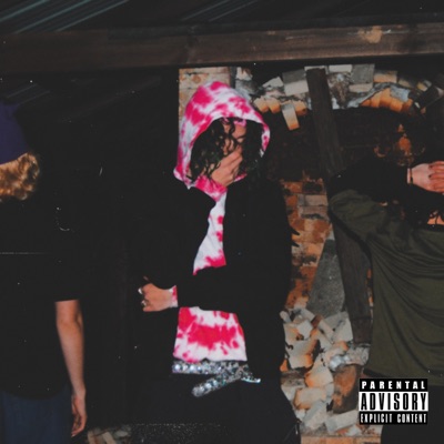 Fruit Roll-up (gfys) - Single