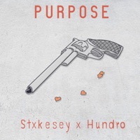 Purpose (feat. Hundro) - Single - Stxkesey