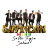 Salto Tigre Sabes