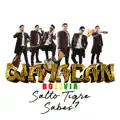 Salto Tigre Sabes
