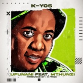 Ufunani (Radio Edit) [feat. Mthunzi] artwork