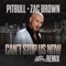 Can't Stop Us Now (Nitti Gritti Remix) - Pitbull & Zac Brown lyrics