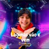 Lágrimas Vão e Vem - Single