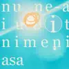 Nu Ne