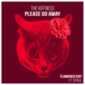 Please Go Away (feat. Alugalug Cat 2.0 & Spaul) [Flamenco Edit] artwork