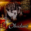 Te Olvidaré - Single
