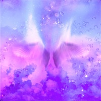 Beauty World - Single - eclipse & Romany