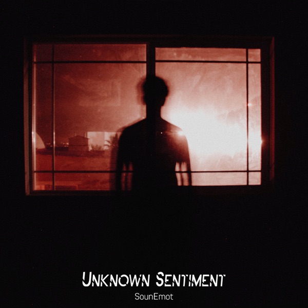 Unknown Sentiment - Single