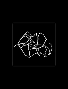 Ascolta Red Fern, guarda video musicali, leggi la biografia, vedi le date del tour & altro!