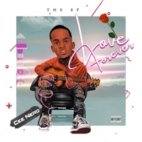 Love Fever - Cee Nero