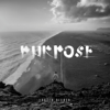 Purpose - Justin Bieber