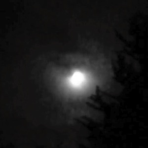 Iris (feat. Caius Williams) - Single