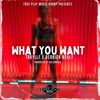 What You Want (feat. UglyMarco) - Single