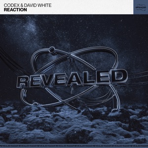 Reaction (Extended Mix)