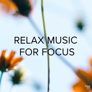 !!!" Relax Music for Focus "!!!