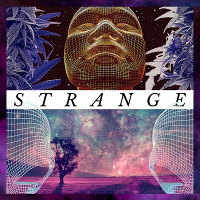 Strange - Single