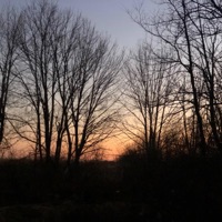 Winter Nights (1st Recording) - Single - Jamie Murrell